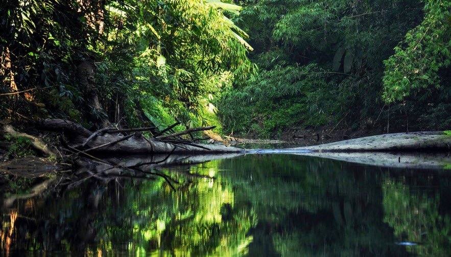 Dampa Wildlife Sanctuary, Mamit, Mizoram - Vushii.com Dampa Wildlife Sanctuary, Mamit, Mizoram - Vushii.com